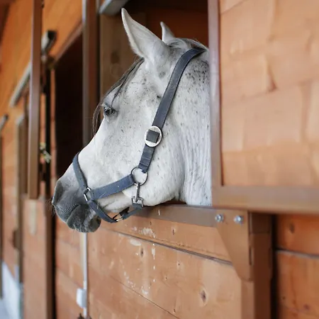 Agroturismo Tenuta Ponziani Wine Resort&spa *