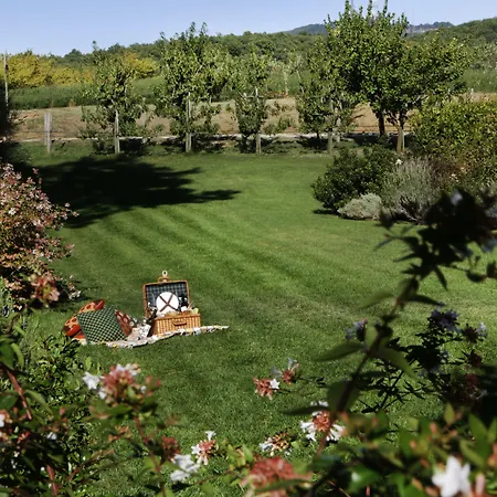 Agroturismo Tenuta Ponziani Wine Morrano