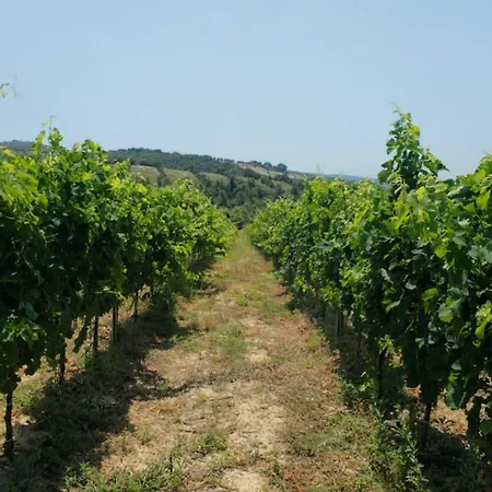Tenuta Ponziani Resort&spa