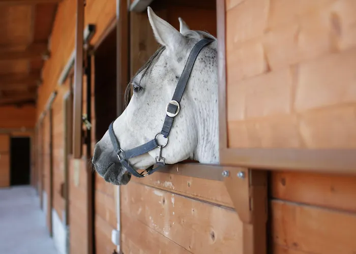 Farm stay Tenuta Ponziani Wine Resort&spa *