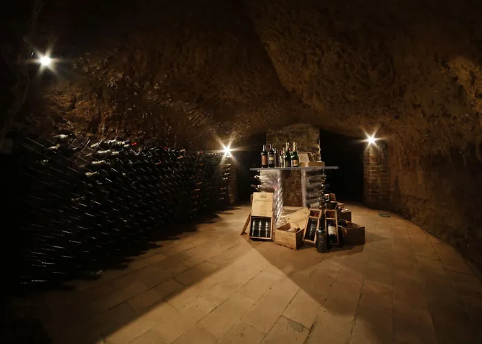 Farm stay Tenuta Ponziani Wine Resort&spa *